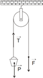 Movable Pulley