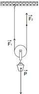 Example of an Exercise With a Single Pulley